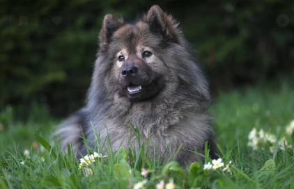 영양제 복용 시 주의사항 관련 사진