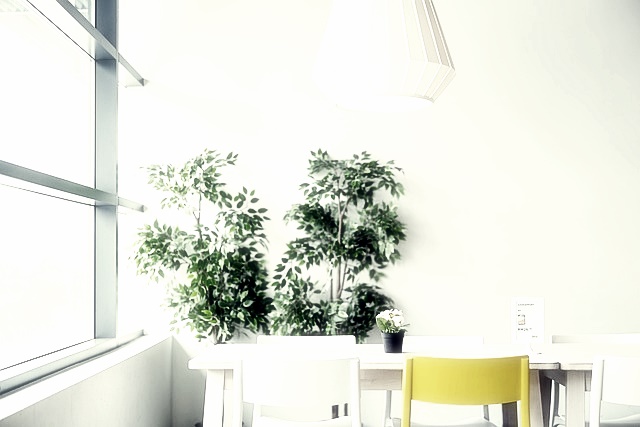 생활기록부 조회 방법