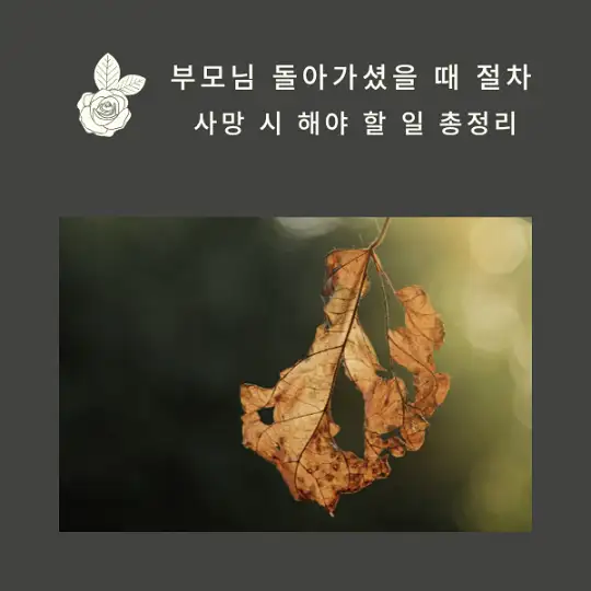 부모님 돌아가셨을 때 절차