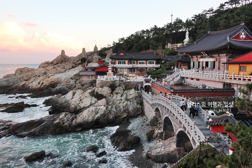 더운 여름 부산 시원한 곳 가볼만한곳 BEST 07 클럽디오아시스 35% 할인