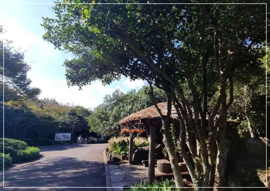 제주도 가볼만한곳 베스트10 제주민속촌