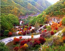 경북 가을 산행지 추천
