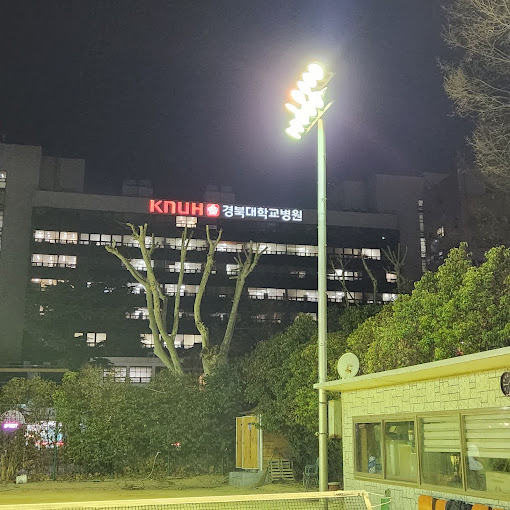 경북대학교 병원 야경