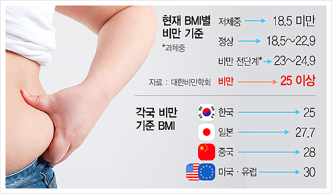 BMI 계산 공식 도표 및 판정 기준표