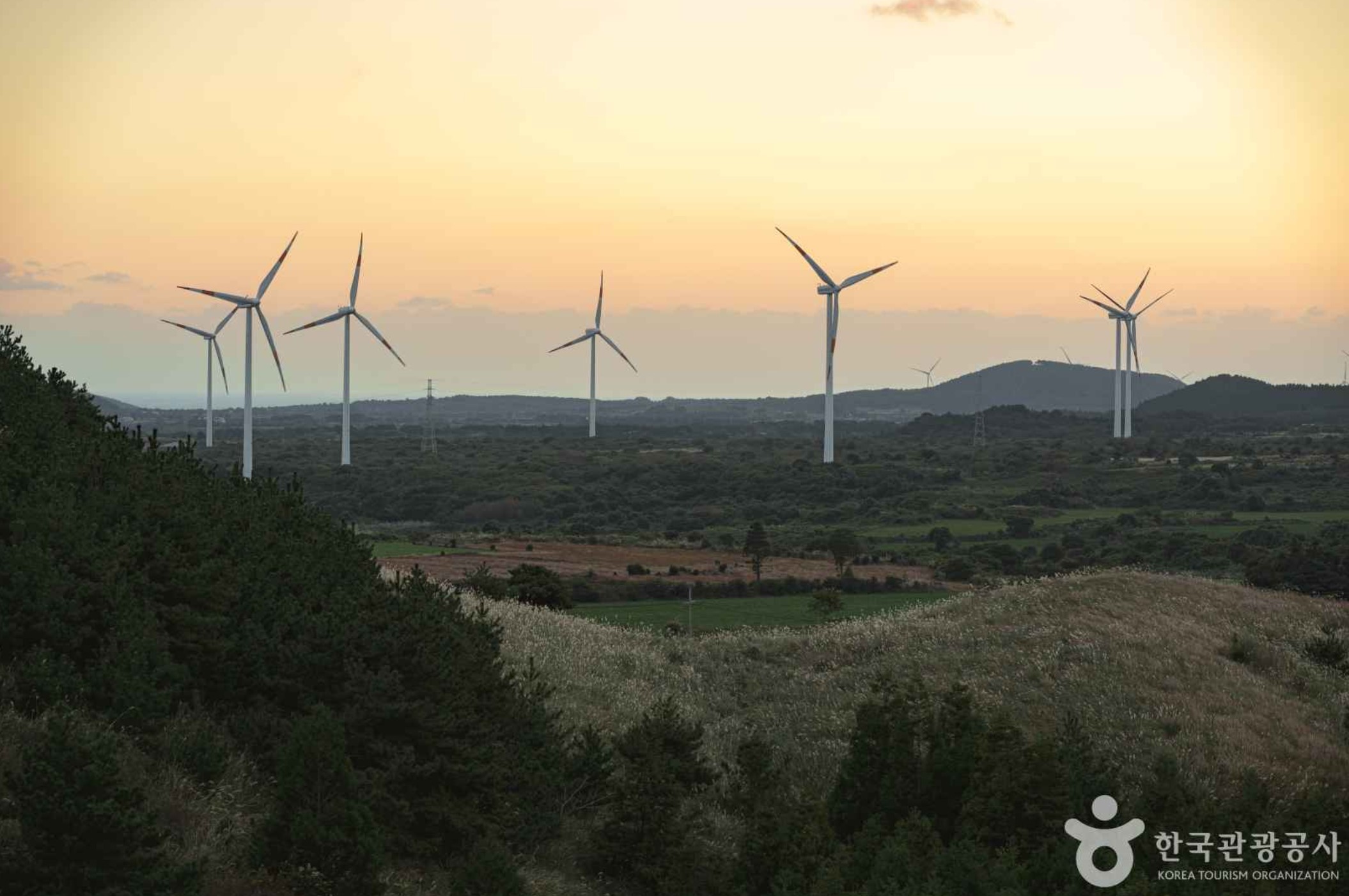 겨울-1박2일-국내-가족-여행지-제주도