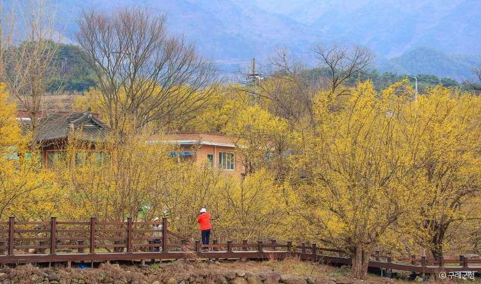 구례 가볼만한곳 베스트 10