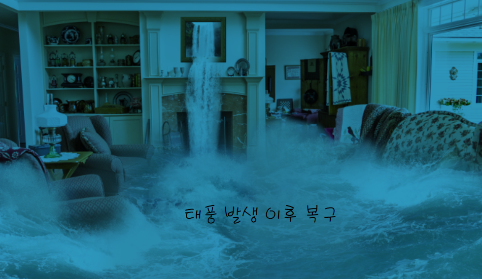 태풍 이후 복구 및 대처 방법
