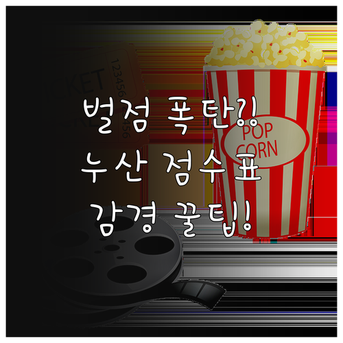 운전면허 벌점 관리 누산점수 기준과 ..