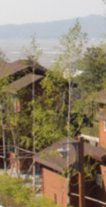 석모도 자연휴양림 숲나들e 국내 여행지 추천 관련 사진