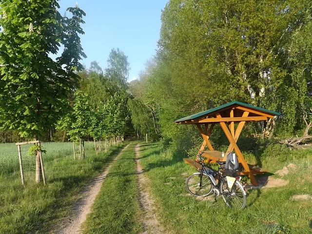 서해안고속도로 휴게소 순서 총정리｜상행·하행 맛집지도 안내_4