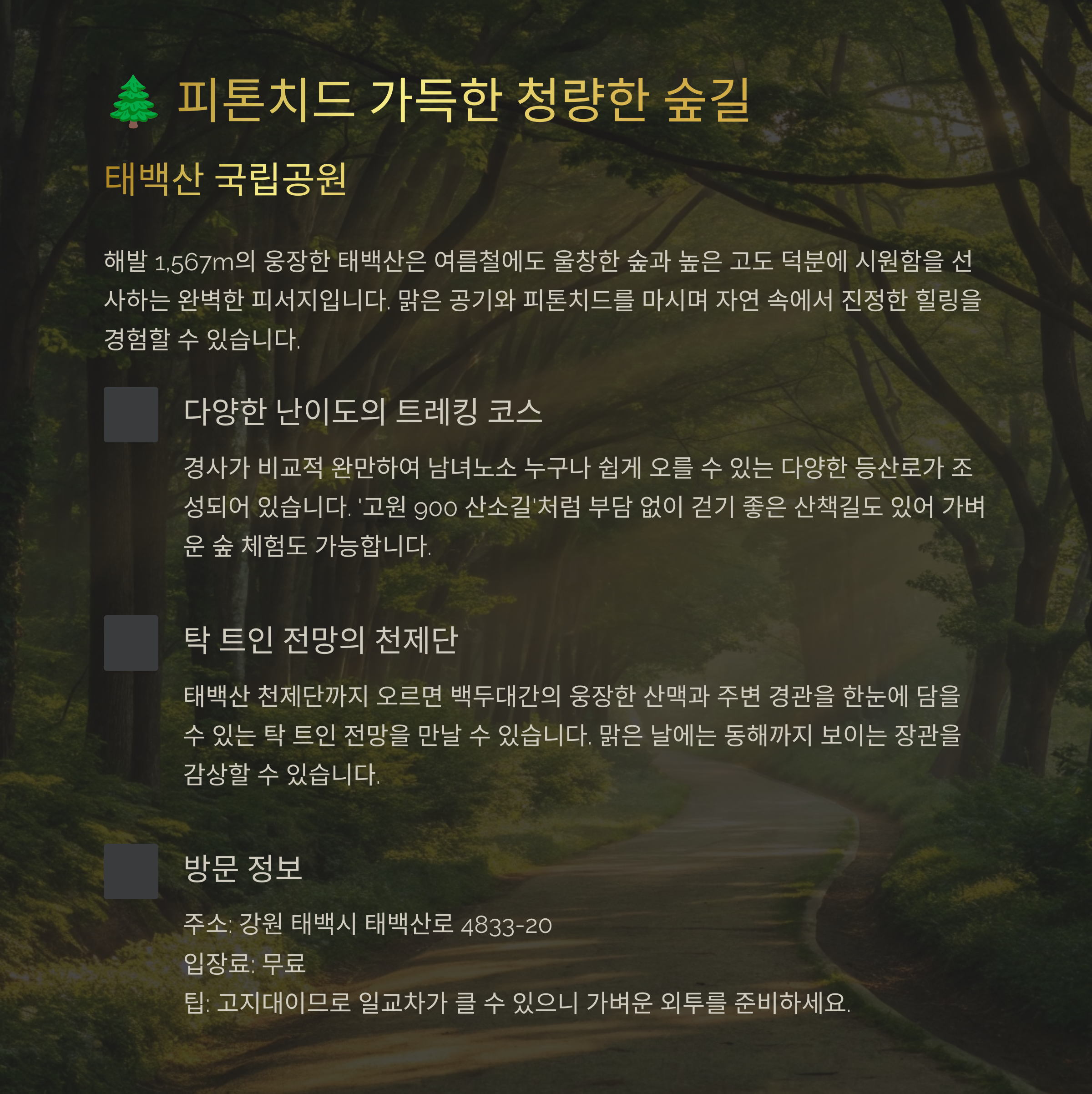 태백산 국립공원: 시원한 숲길 트레킹