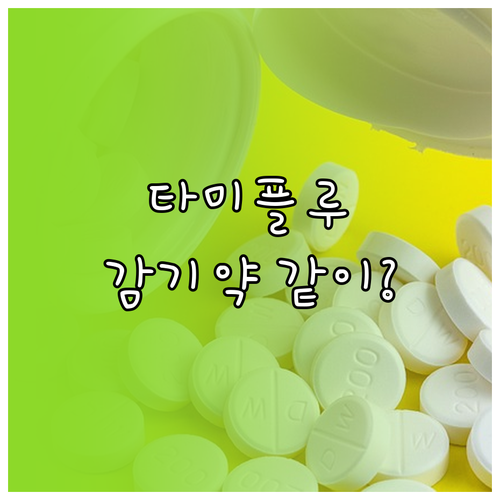 독감 치료제 타미플루와 일반 감기약 ..