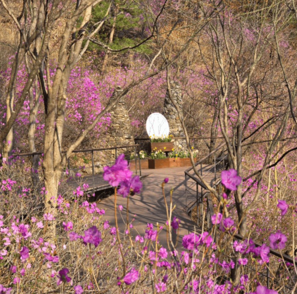 화담숲 화담채 모노레일 사전 예약&amp;#44; 할인받고 예매 하기