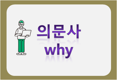 의문사 why