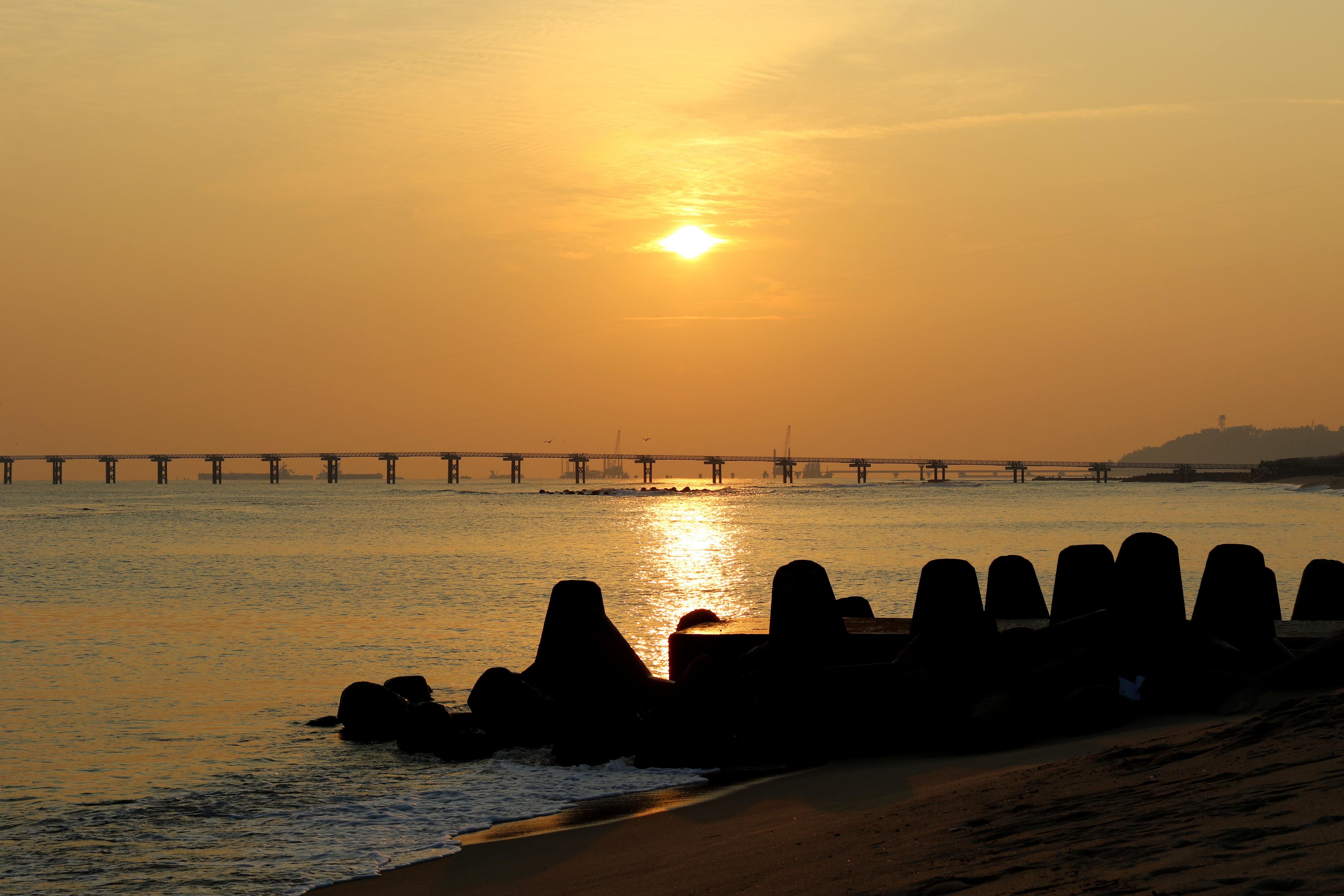 해랑열차 2026 가격 및 예약 정보 안내