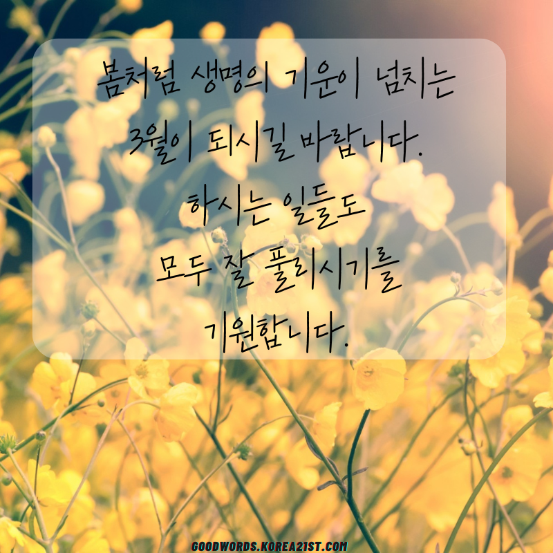 3월 인사말 문구 이미지 모음집