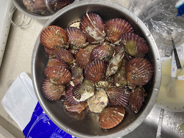 편스토랑 이정현 홍가리비 술찜 및 홍가리비 라면 레시피