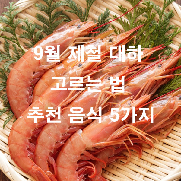 9월 제철 대하 고르는 법 추천 음식 5가지