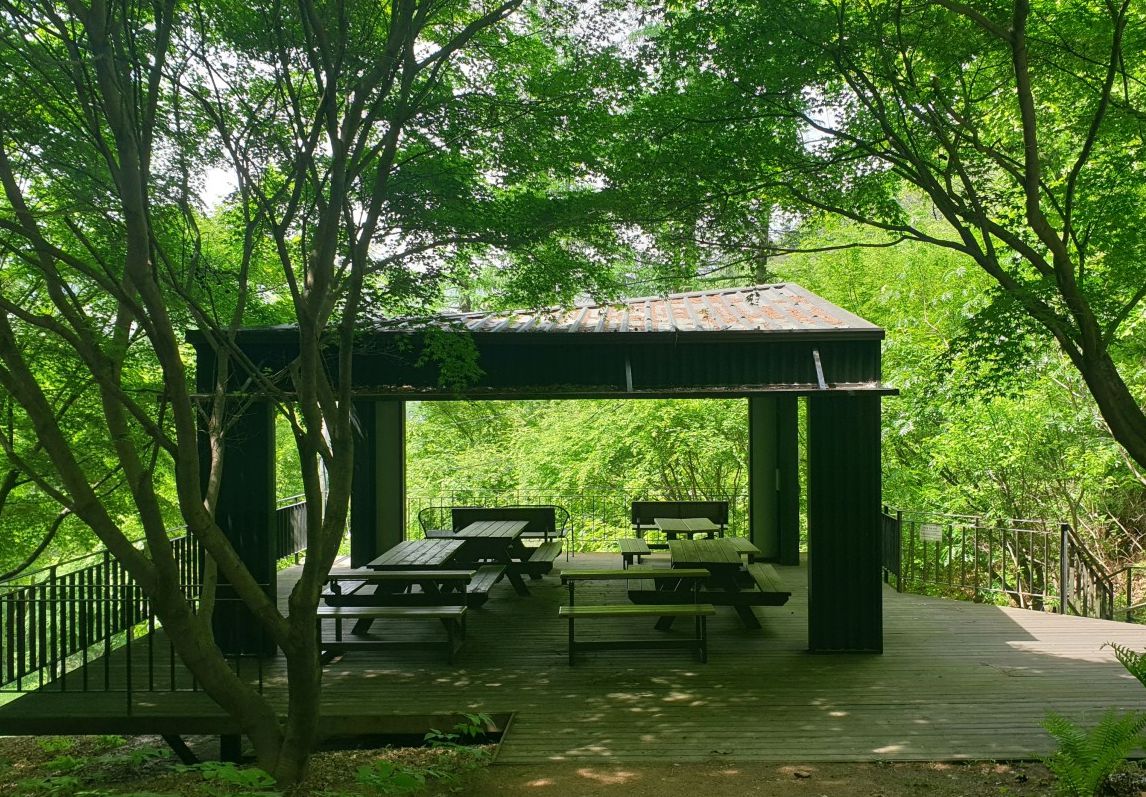 스카이라인 짚와이어