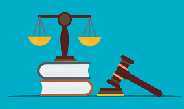 이승엽 변호사 법조 경력