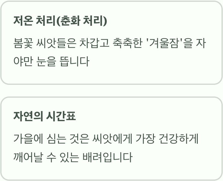 씨앗의 잠을 깨우는 &amp;#39;겨울잠&amp;#39;의 비밀