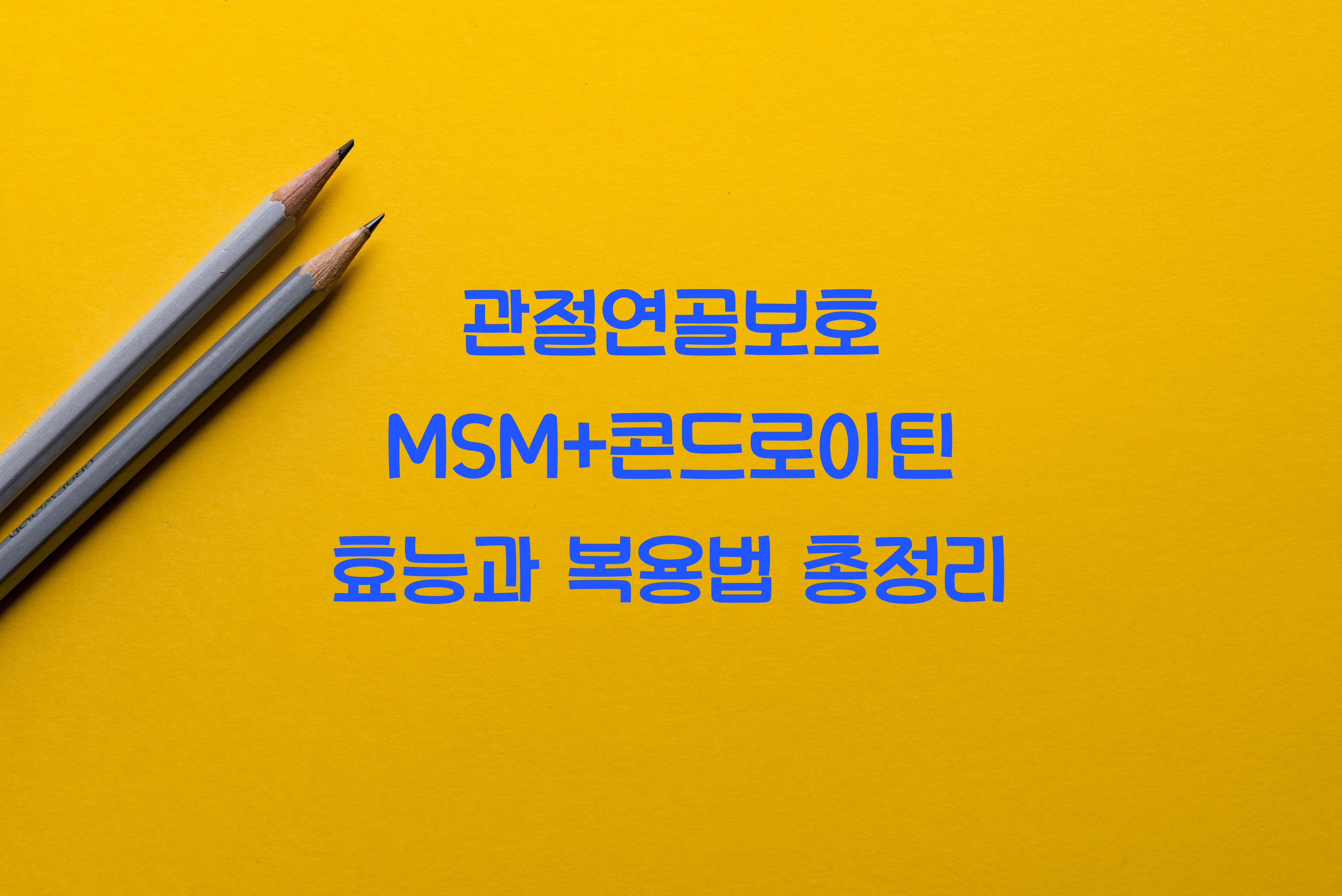 관절연골보호 MSM+콘드로이틴