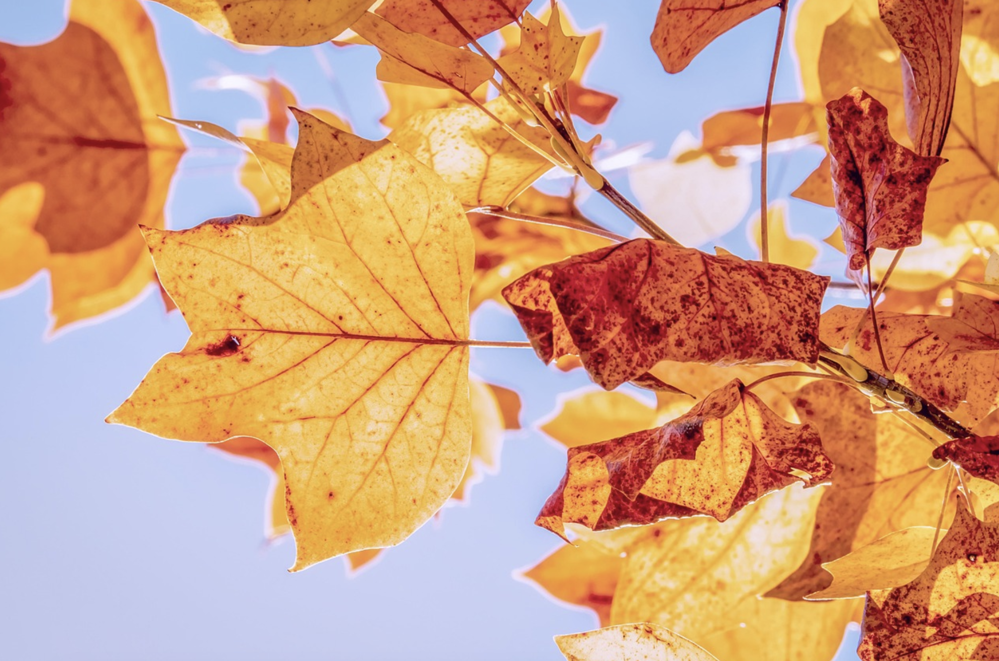 2025년 10월 4일 추석 연휴 날씨