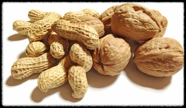 부럼-땅콩-호두