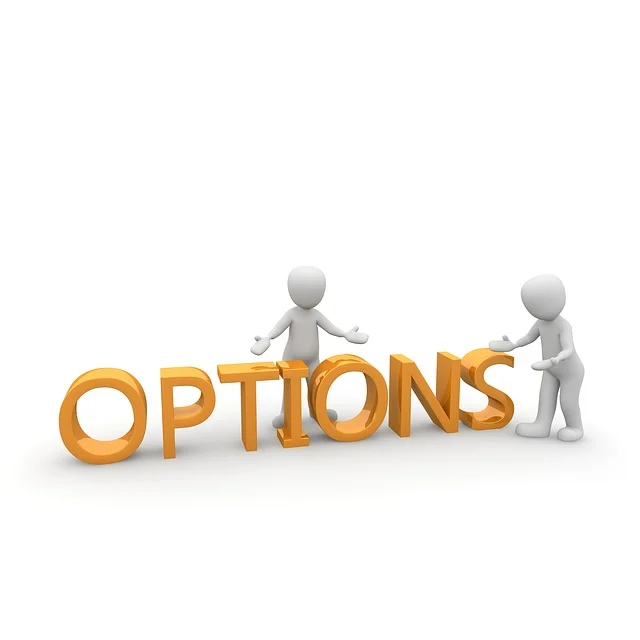 알기 쉬운 옵션(OPTION) 투자 입문 가이드