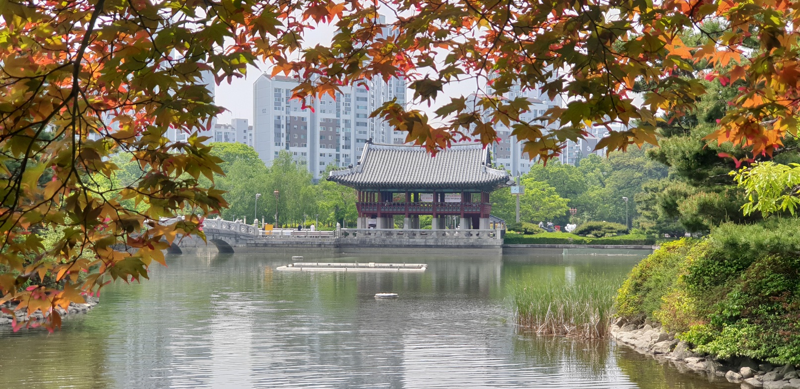 2026 해랑 열차 예약방법.코스.비용 총정리