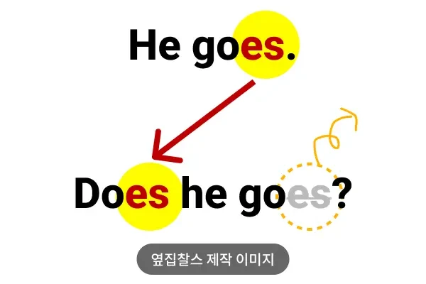 He goes는 Does he go가 된다는 내용