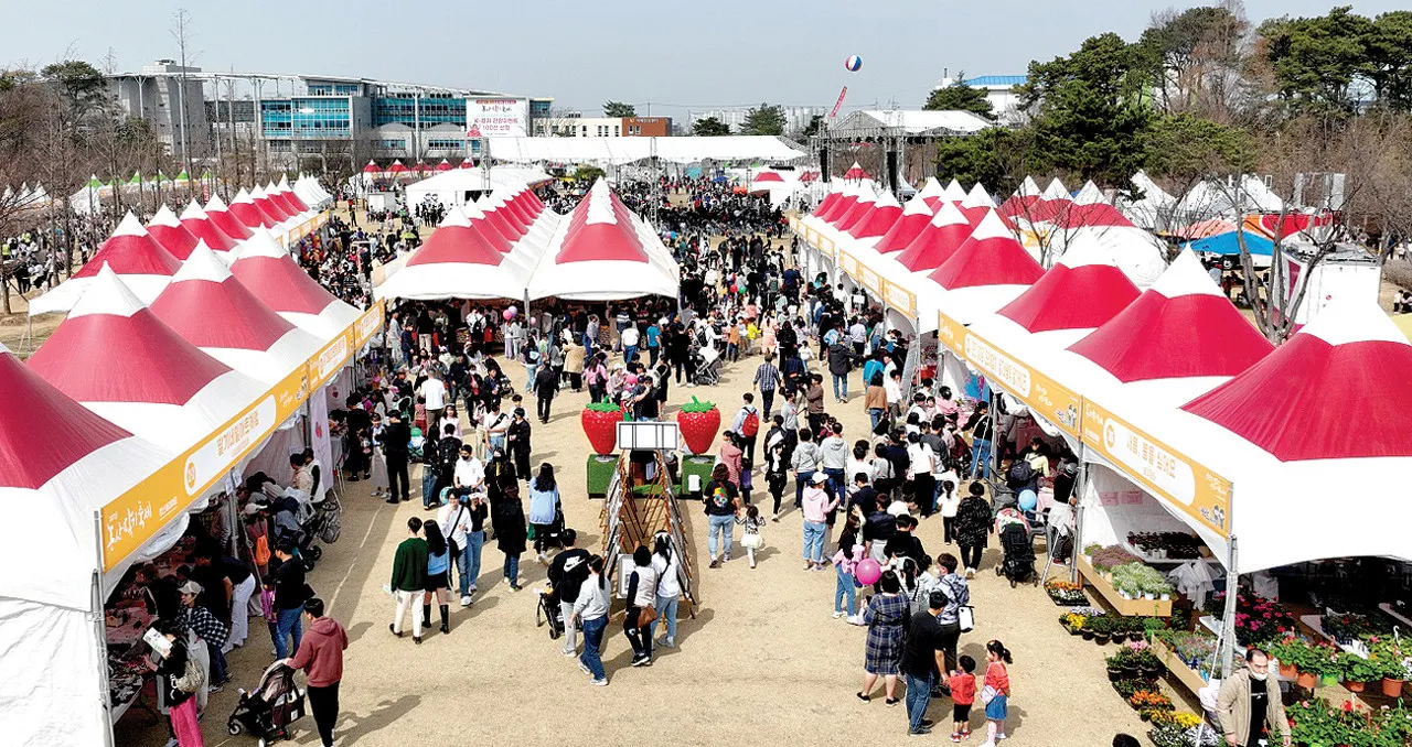 논산딸기축제