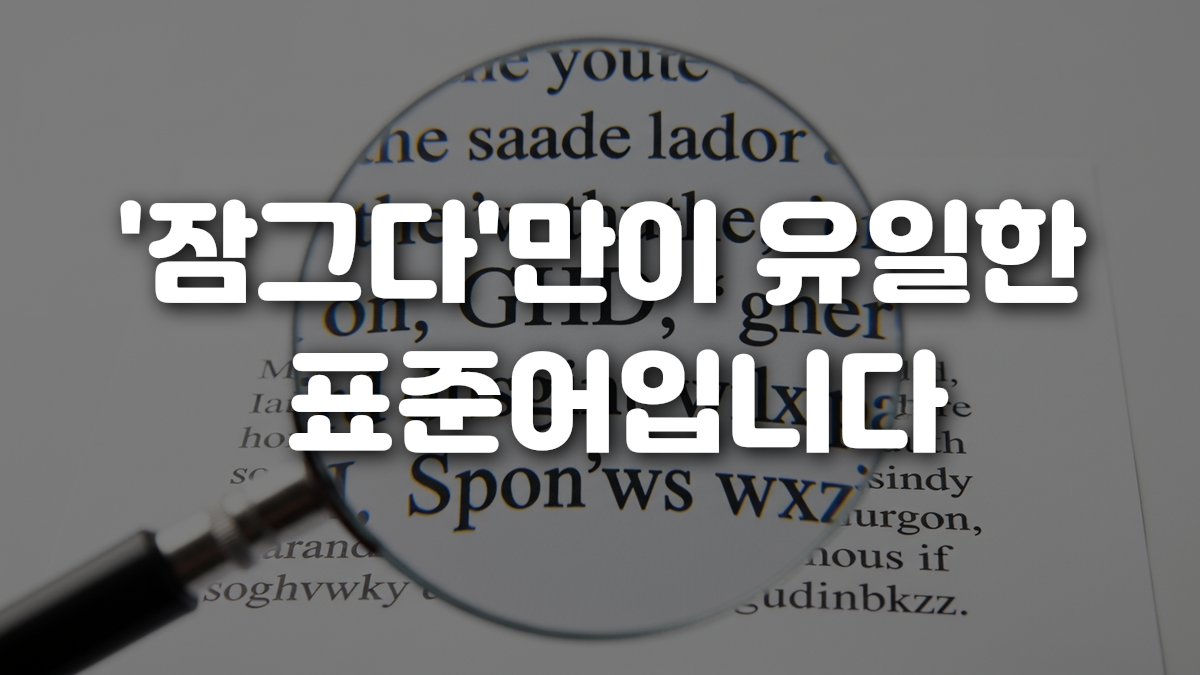 잠그다 만이 유일한 표준어입니다