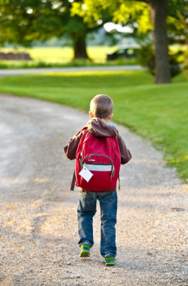 초등학교 취학 통지서 온라인 발급 방법