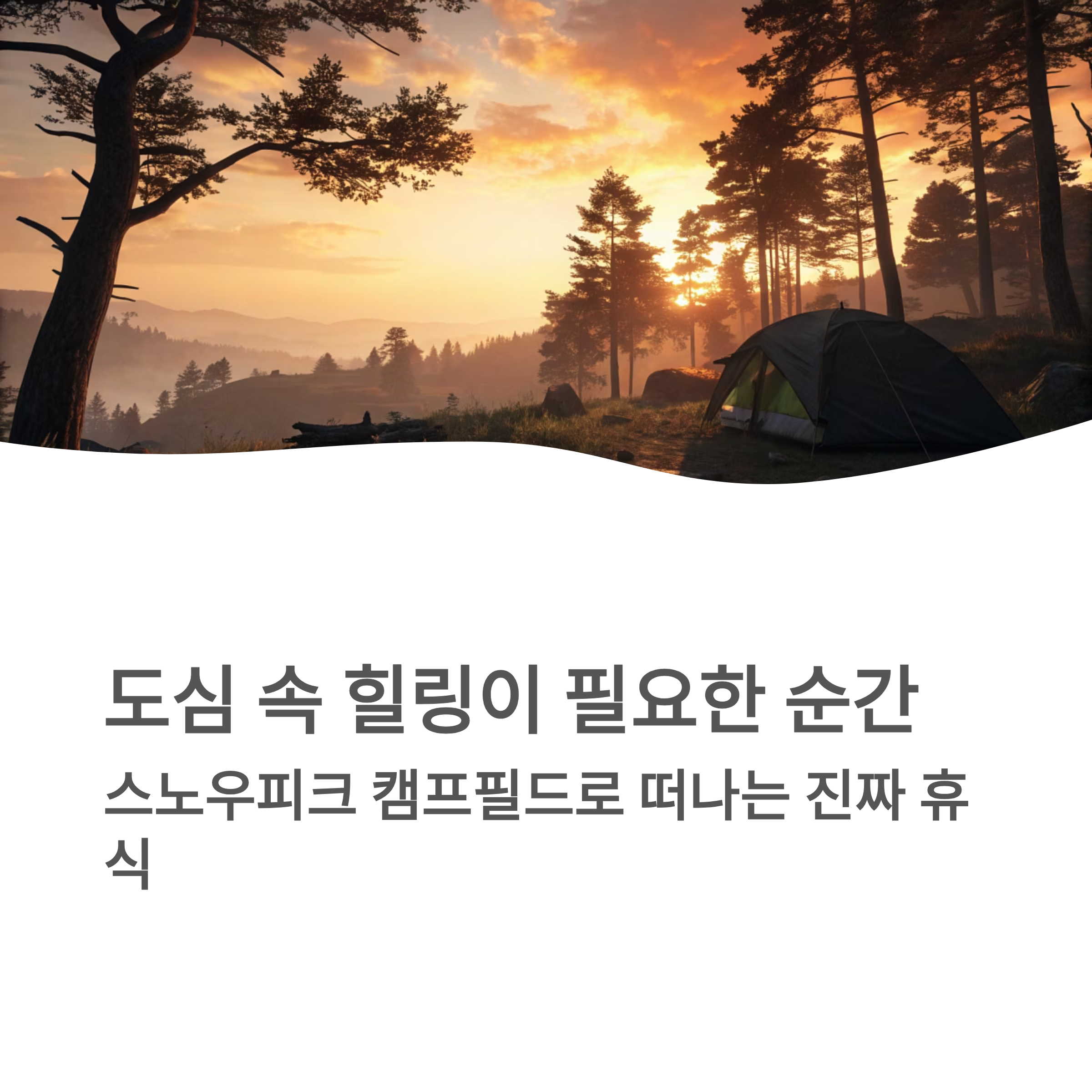 스노우피크 캠프필드 예약 꿀팁 ❘ 자연 속 힐링부터 캠핑장 숨은 노하우까지 완벽 가이드