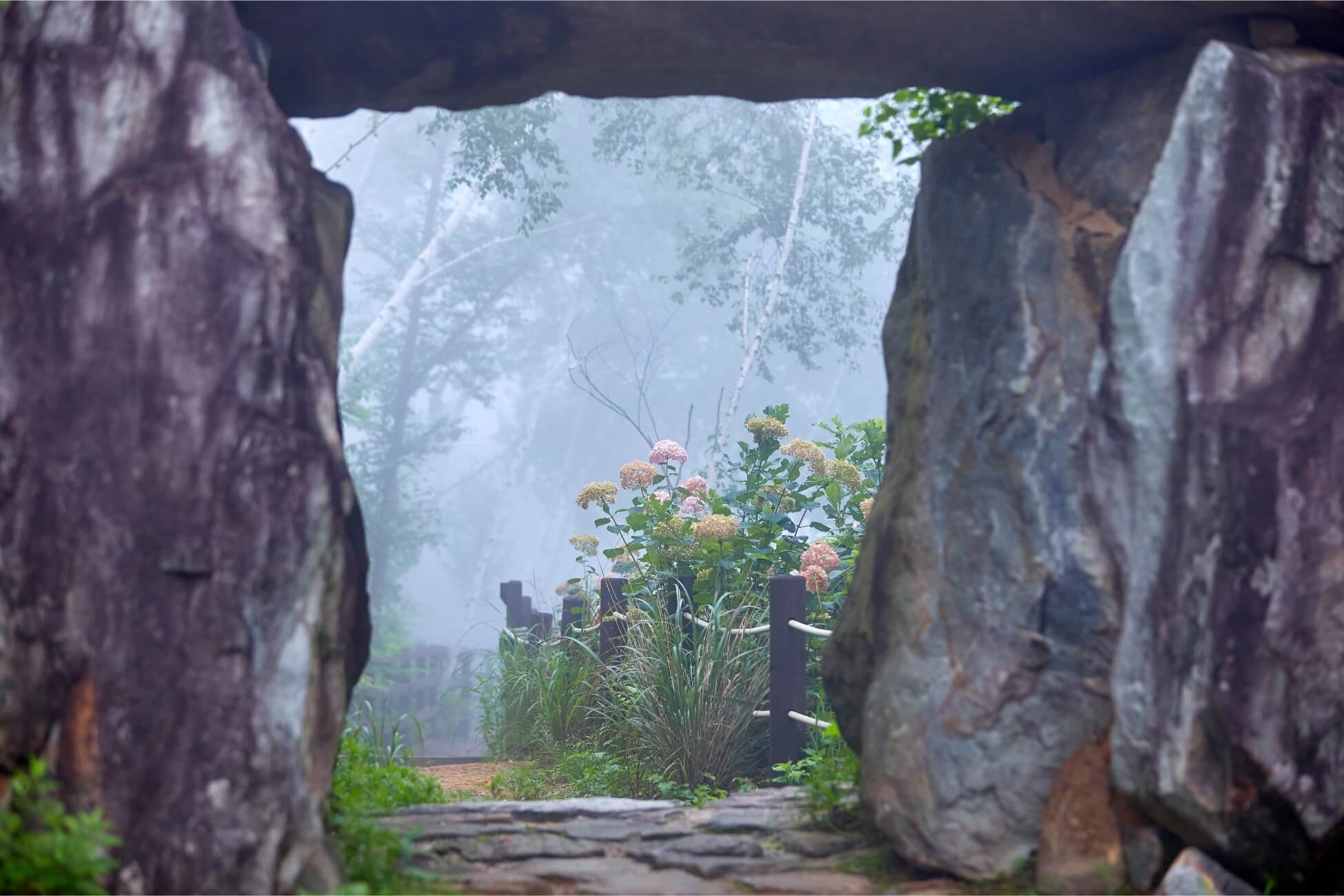 정선 로미지안가든 입장료 예약방법