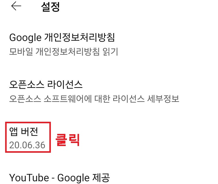 앱 버전 메뉴 보임