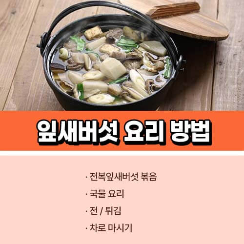 잎새버섯 요리