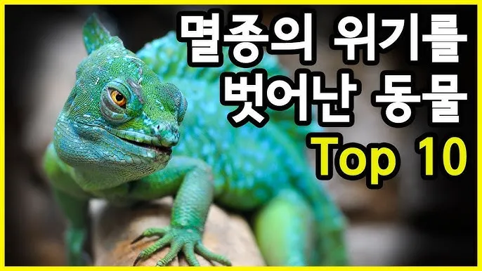 멸종 위기 동물 증가 원인과 환경 문제 분석_4