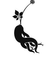 산삼