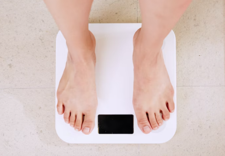 장어 효능 칼로리