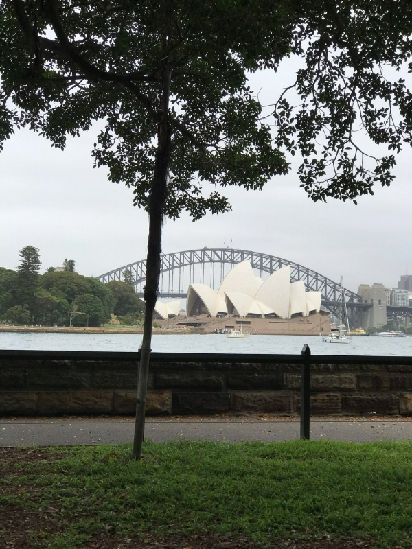 왕립식물원에서 바라보는 오페라하우스 전경