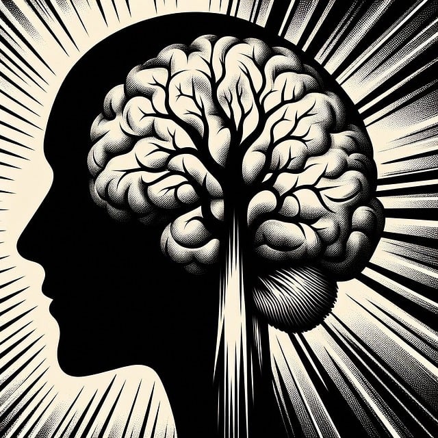 모야모야병과 혈관 건강 관리법 알아보기