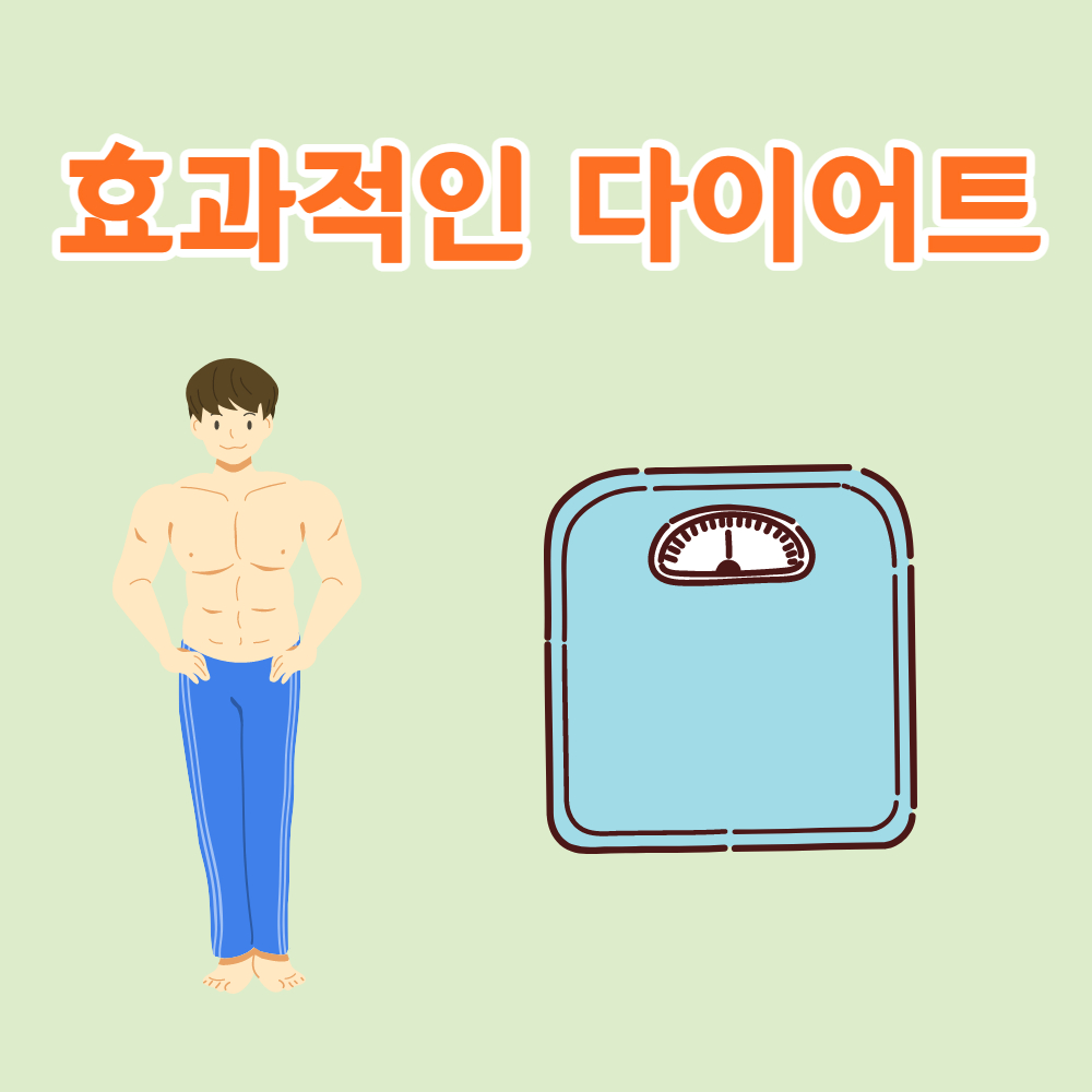 효과적인 다이어트