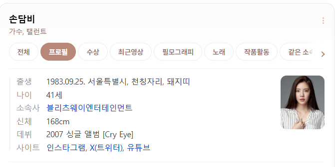 [2025 손담비 최신 프로필] 딸 해이 출산 후 독박육아 고백까지, 가수에서 배우 그리고 엄마로