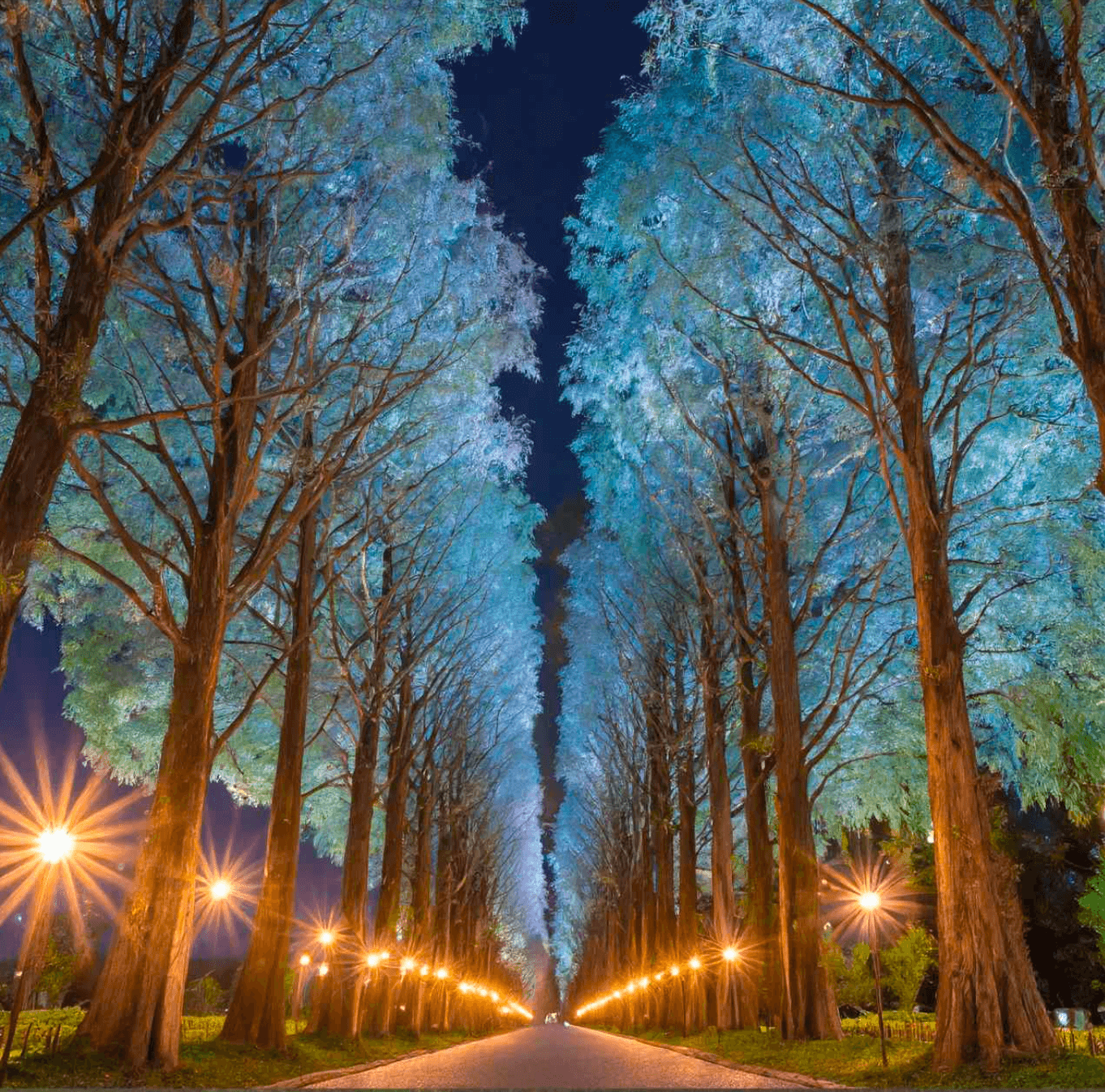 제주도 고급 타운하우스