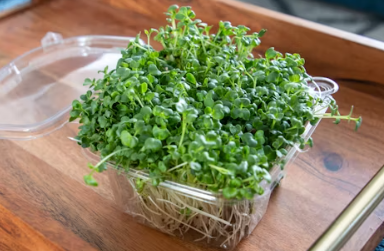 은퇴 후 창업아이템 알아보기