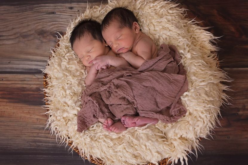 쌍둥이 아기사진