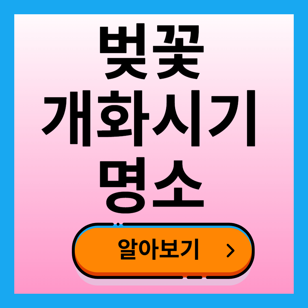 벚꽃 개화시기 2025 명소 안내