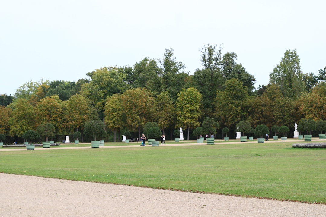 Park golf